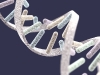 DNA Images